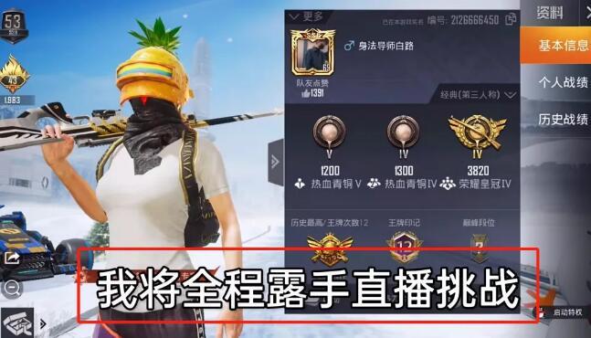 和平精英辅助【地狱犬/哮天犬】